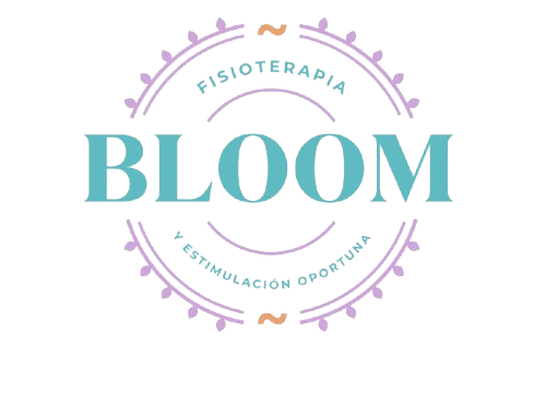 Bloom Fisioterapia